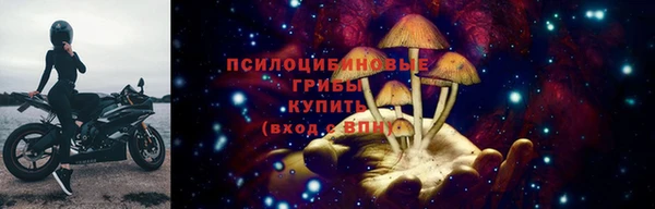 шишки Магас