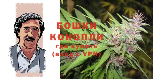 spice Медногорск