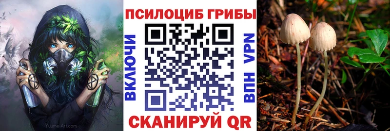 дарнет шоп  Ленинск  mega tor  Псилоцибиновые грибы прущие грибы 